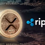 cách mua ripple