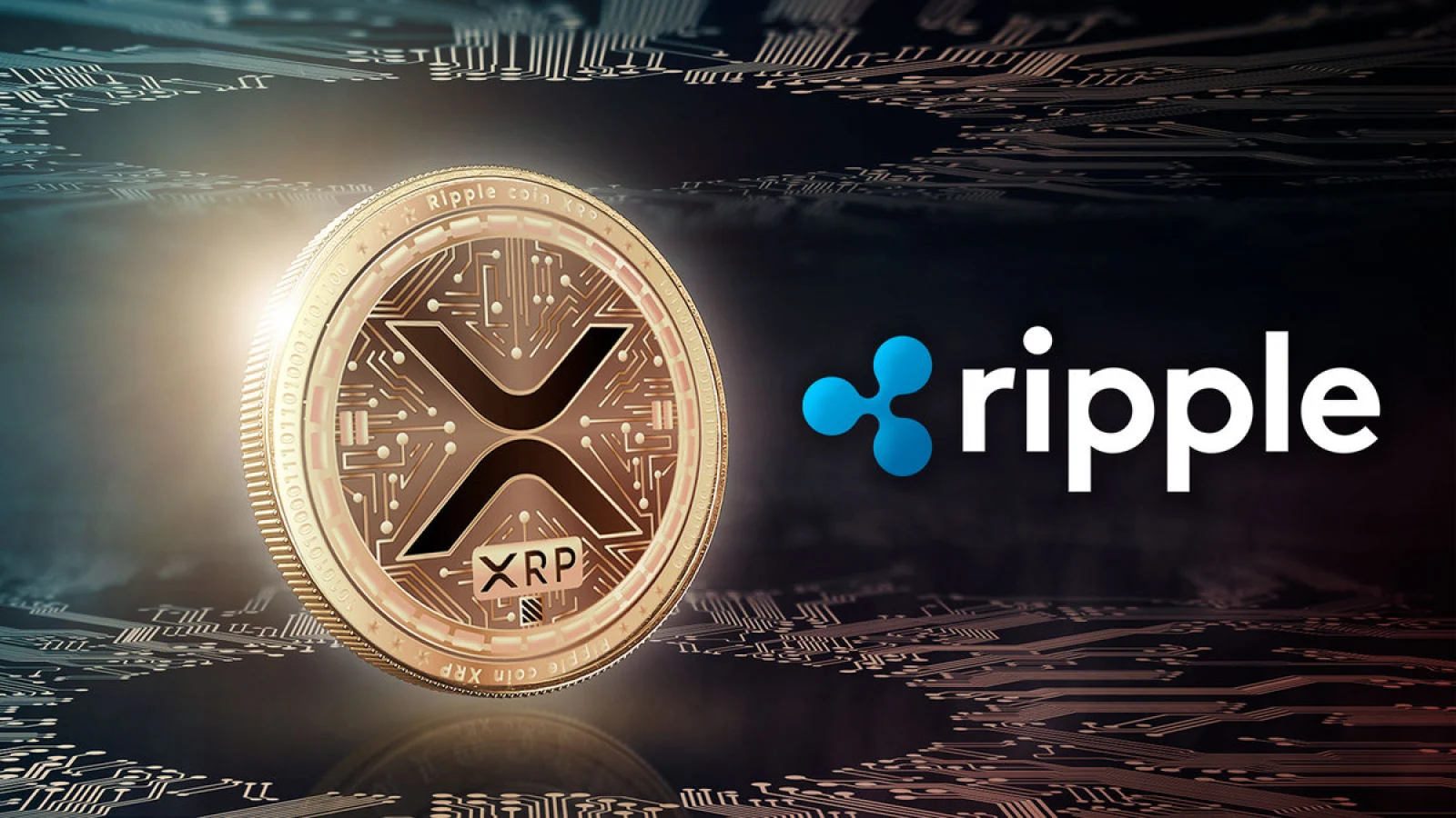 cách mua ripple